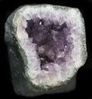 Amethyst Geode From Brazil - lbs #34432-1